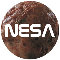 NESA space